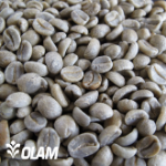 Andrew Rodden Headshot