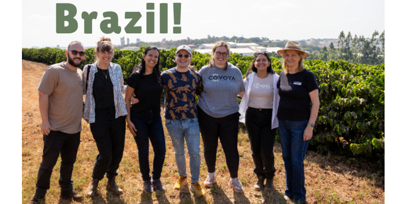Brazil Origin Trip - Meet the Cafe Delas Producers
