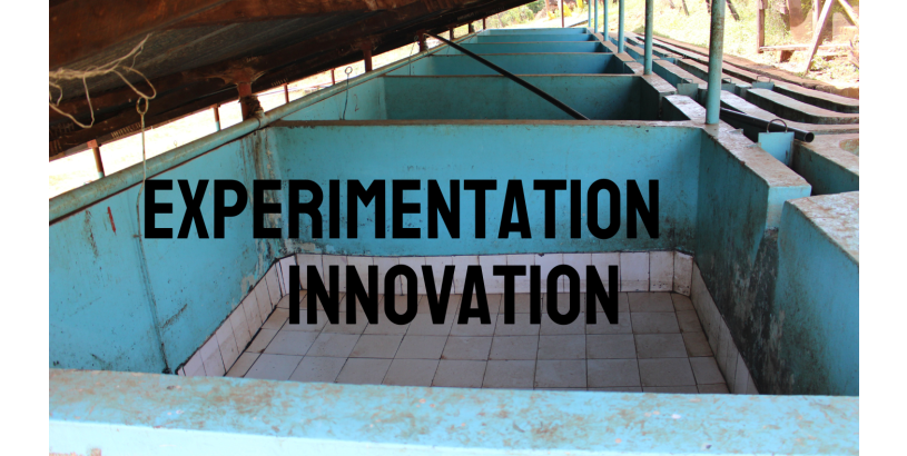 The Fermentation Situation