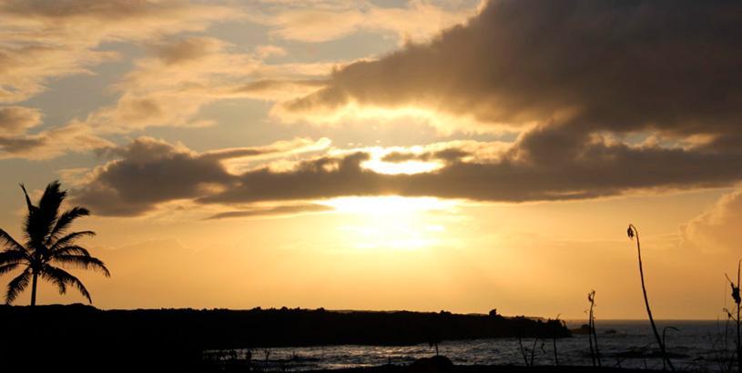 The History of Kona Coffee: A Happy Jaunt Through Hawaii