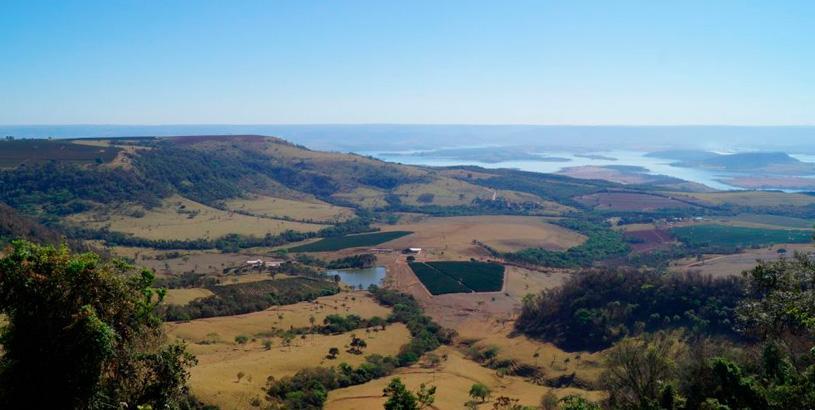 Mogiana Brazil: A Rich Coffee History