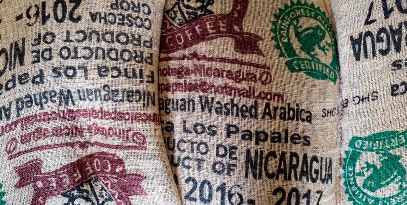 Nicaragua’s Finca Los Papales: Above the City of Mist