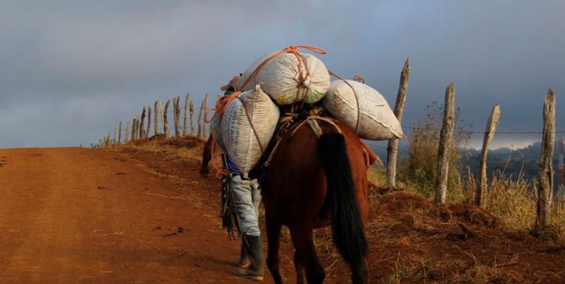 San Vicente Honduras: Redefining "Origin"