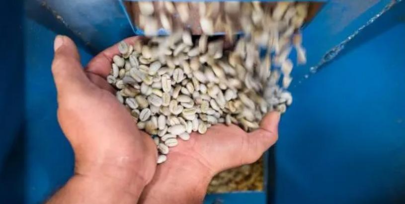 The Disciplined (or not) Coffee Buyer