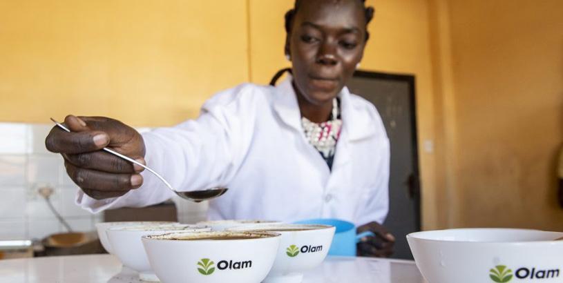 The Evolution of Coffee Cupping