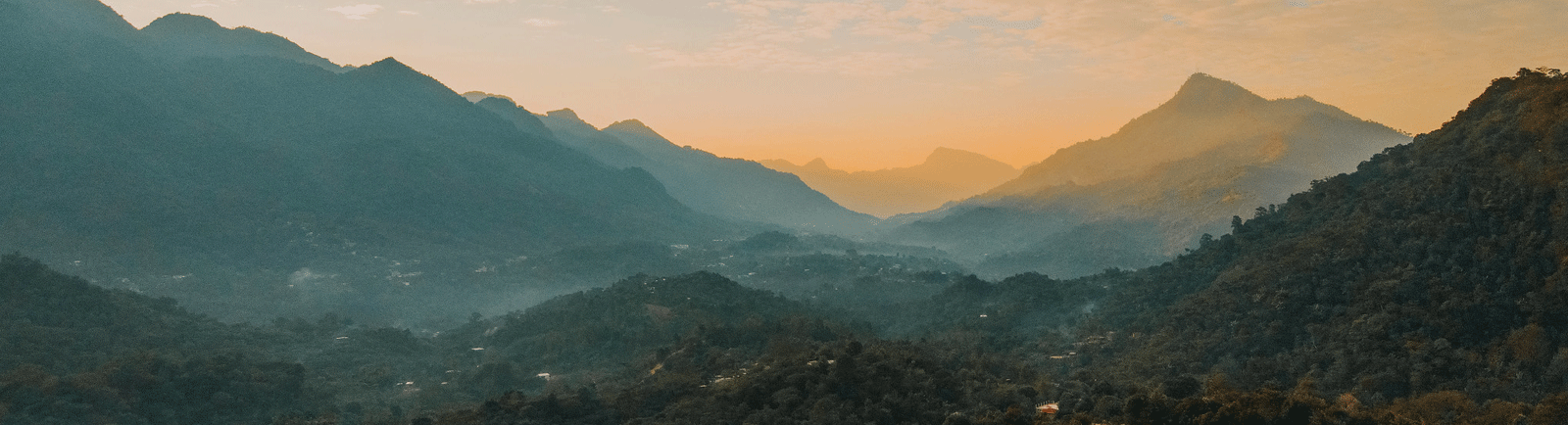 Guatemalan Green Coffee