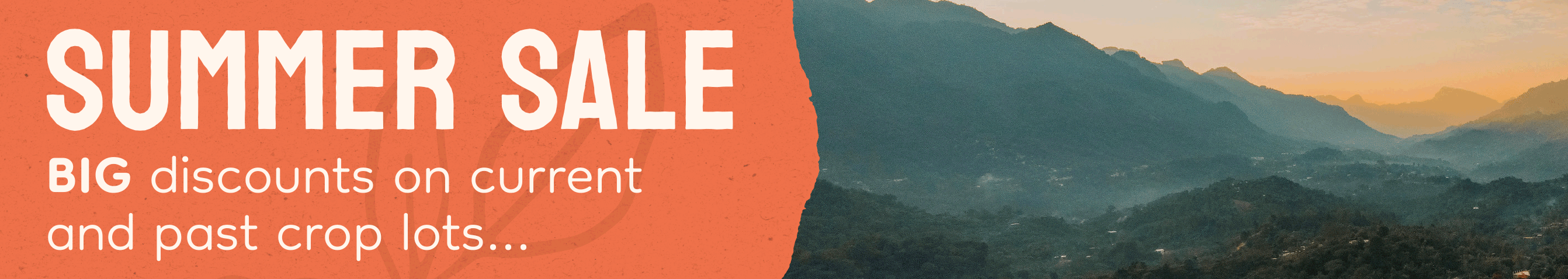 Summer 2023 Sale
