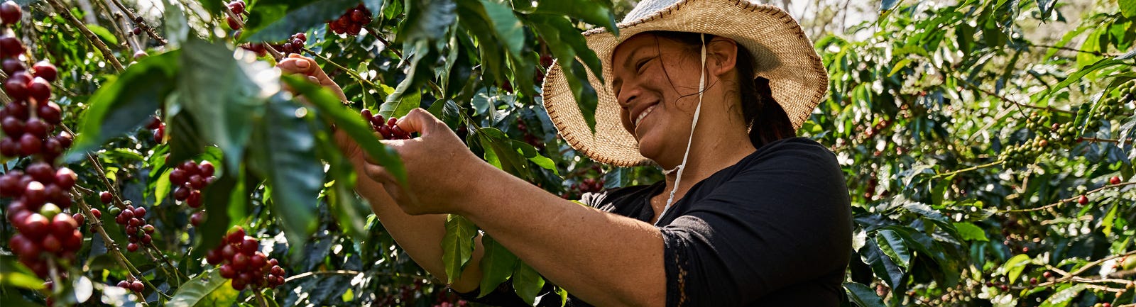 Women Producers