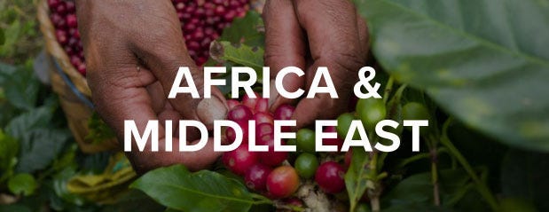 Africa and Middle East